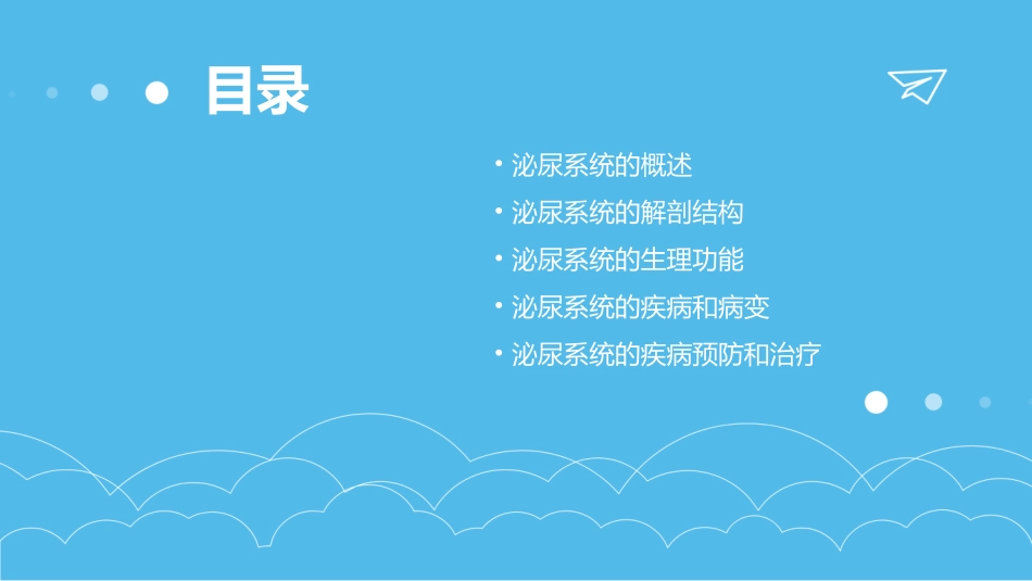 解剖泌尿系统课件_第2页