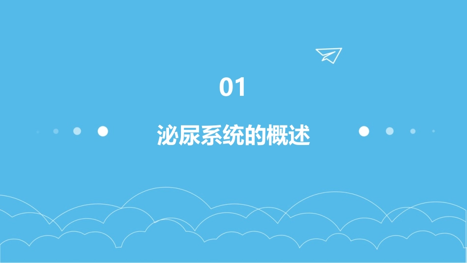 解剖泌尿系统课件_第3页
