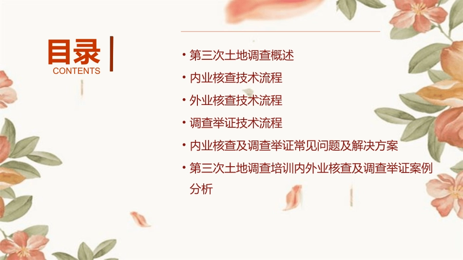 第三次土地调查培训内外业核查及调查举证课件_第2页
