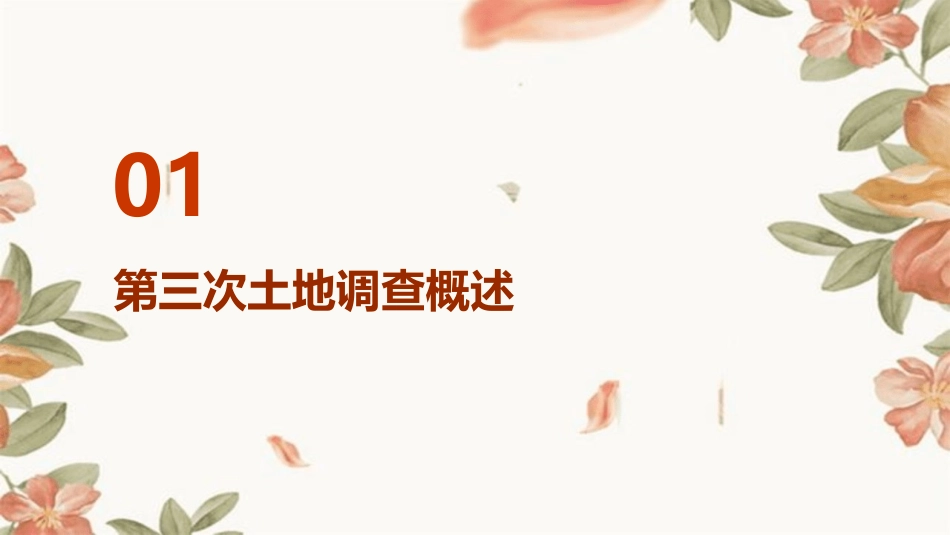 第三次土地调查培训内外业核查及调查举证课件_第3页