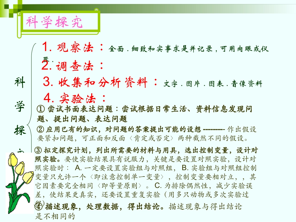 七年级生物上总复习用_第2页