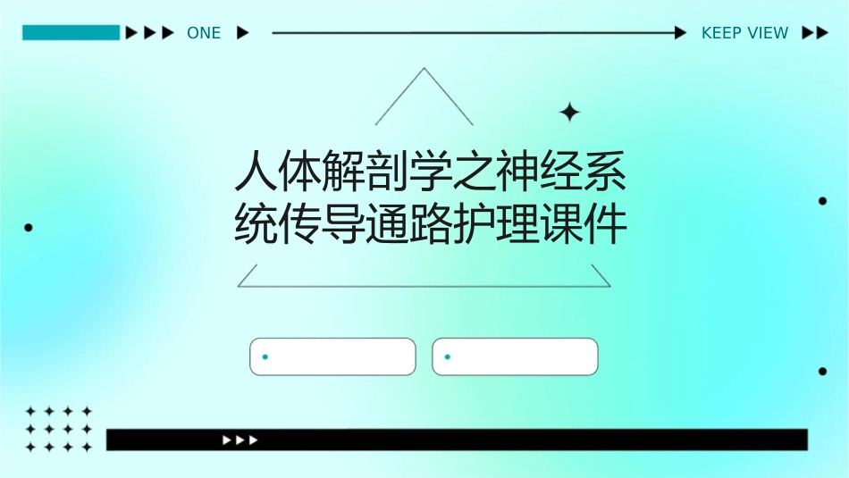 人体解剖学之神经系统传导通路护理课件1_第1页