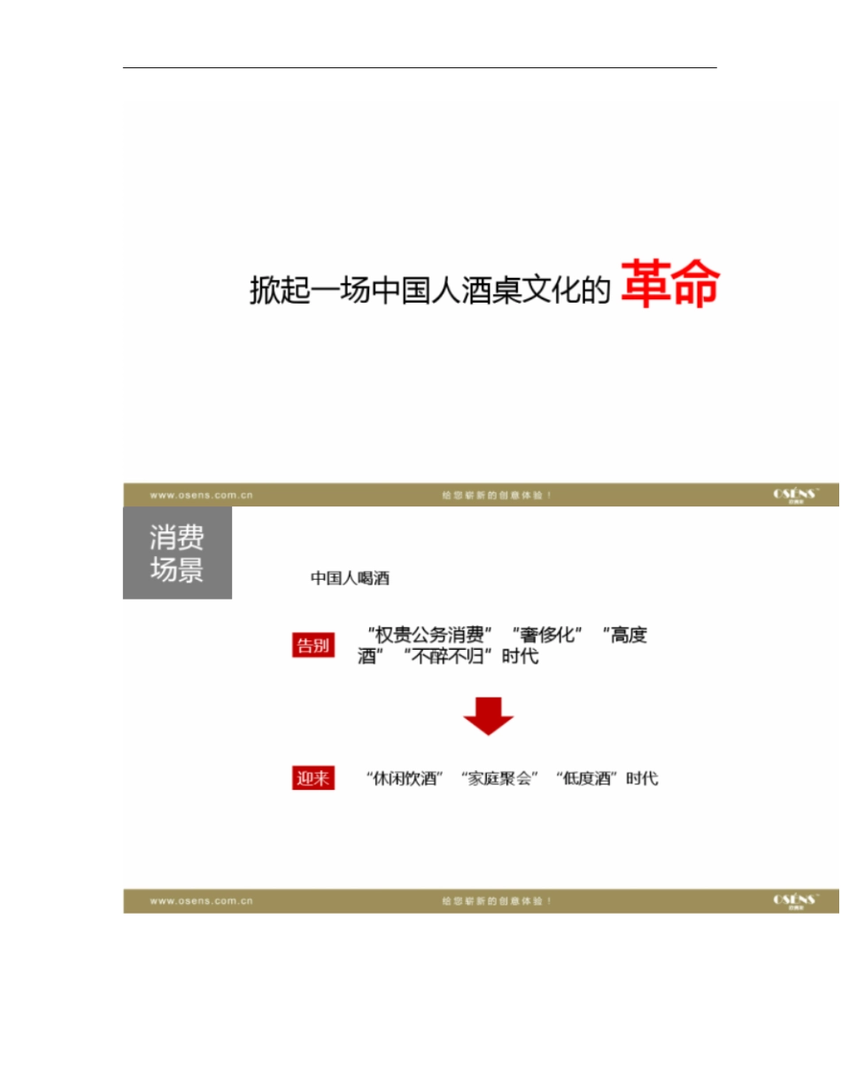 欧赛斯汉诺糯米酒时尚国民酒品牌核心价值挖掘策划定位策略方案_概要_第3页