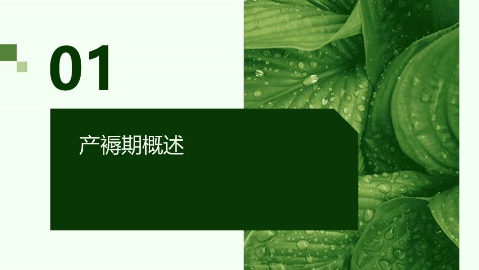 产褥期血液循环系统变化课件_第3页