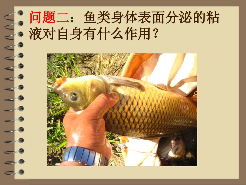 高一摩擦力课件_第3页