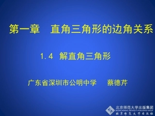 解直角三角形演示文稿
