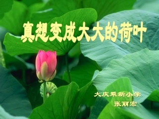 真想变成大大的荷叶