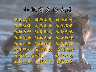 蒲松龄《狼》xiao