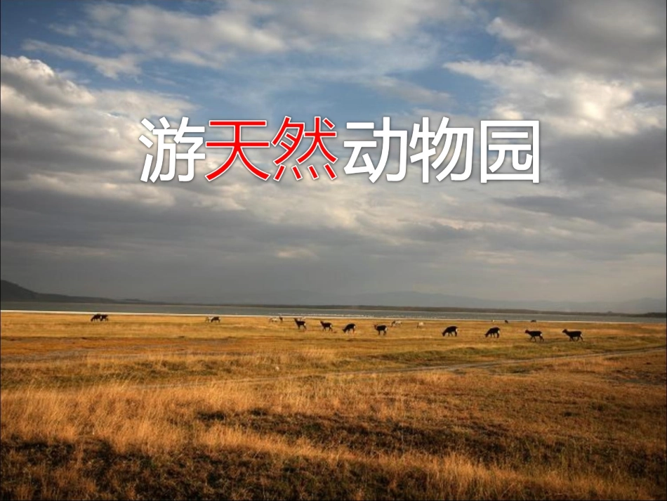 游天然动物园_第1页