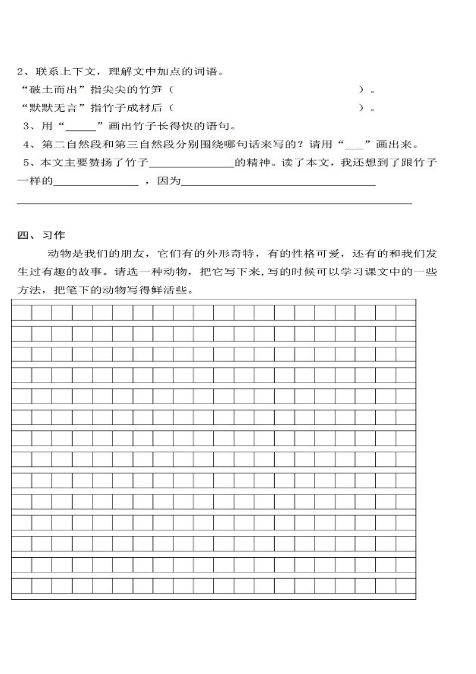 四年级期中考试题_第3页
