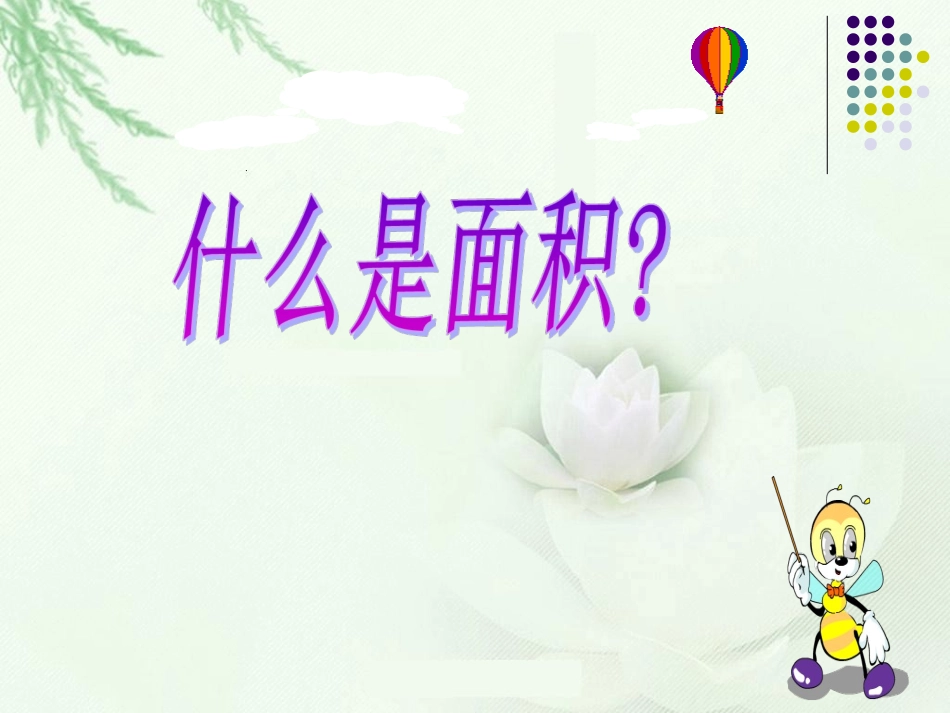 什么是面积精品课件_第1页