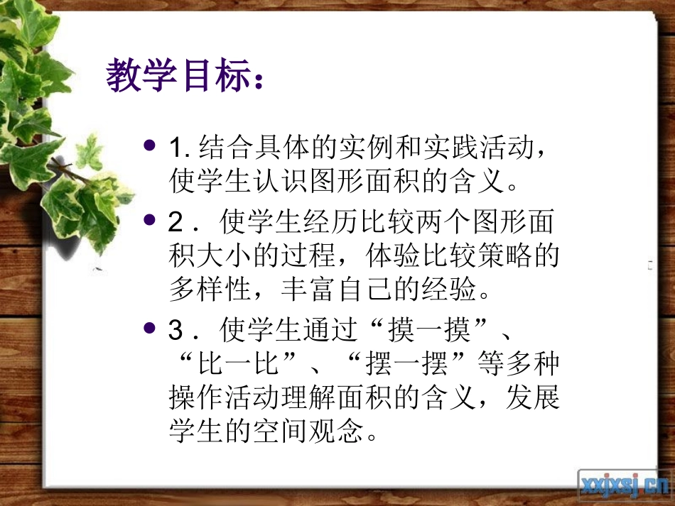 什么是面积精品课件_第2页