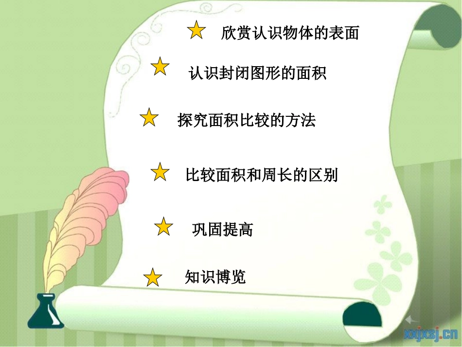 什么是面积精品课件_第3页