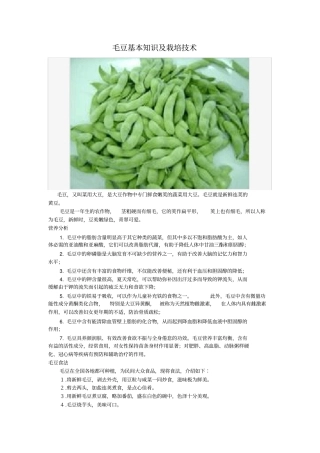 毛豆基本知识及栽培技术