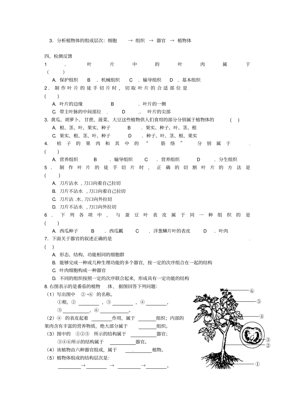 江苏七年级生物下册生物体有相似的结构层次学案2无解答新版苏科版_第2页