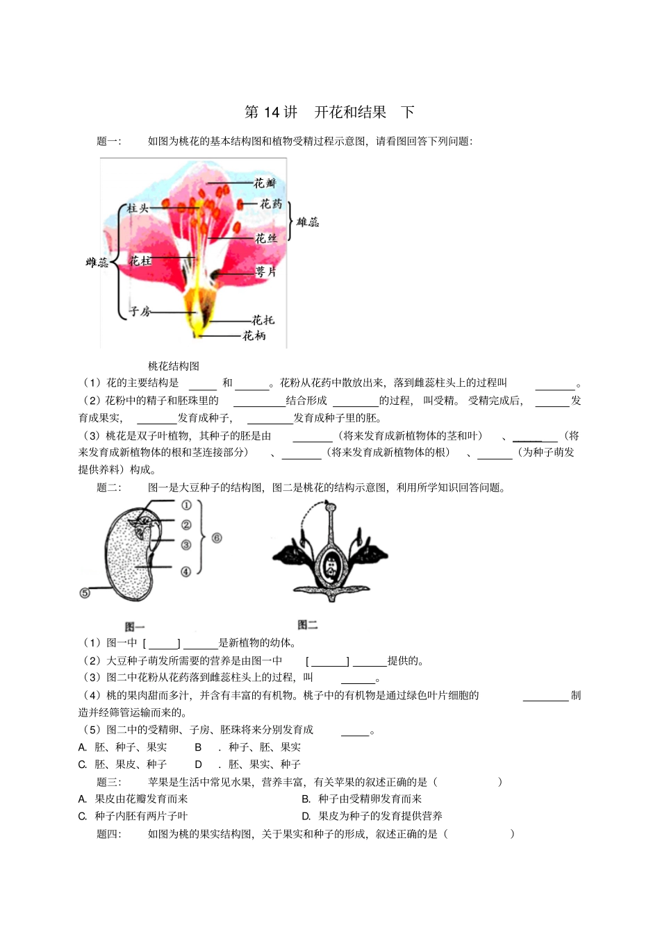 江苏七年级生物上册第14讲开花和结果下练习苏教版_第1页