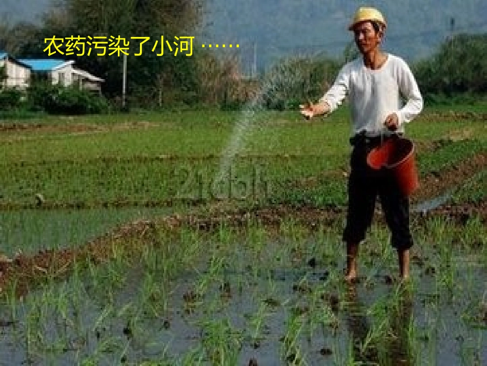 让小河更美丽_第3页