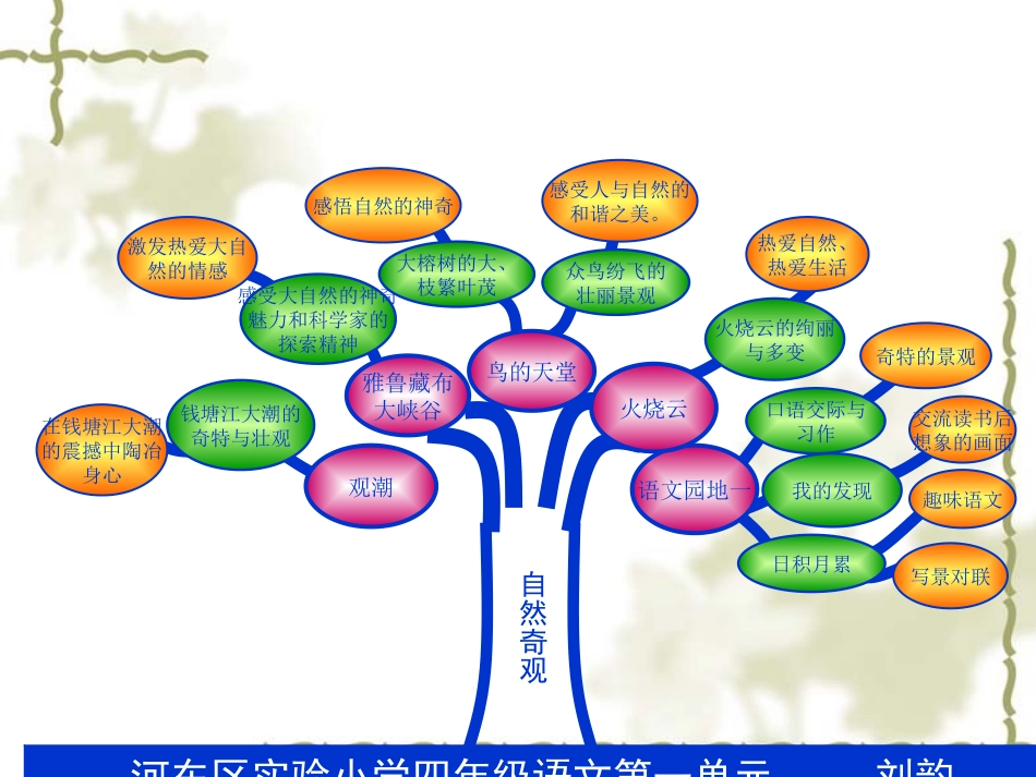 鸟的天堂 课件_第2页