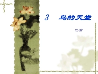 鸟的天堂 课件
