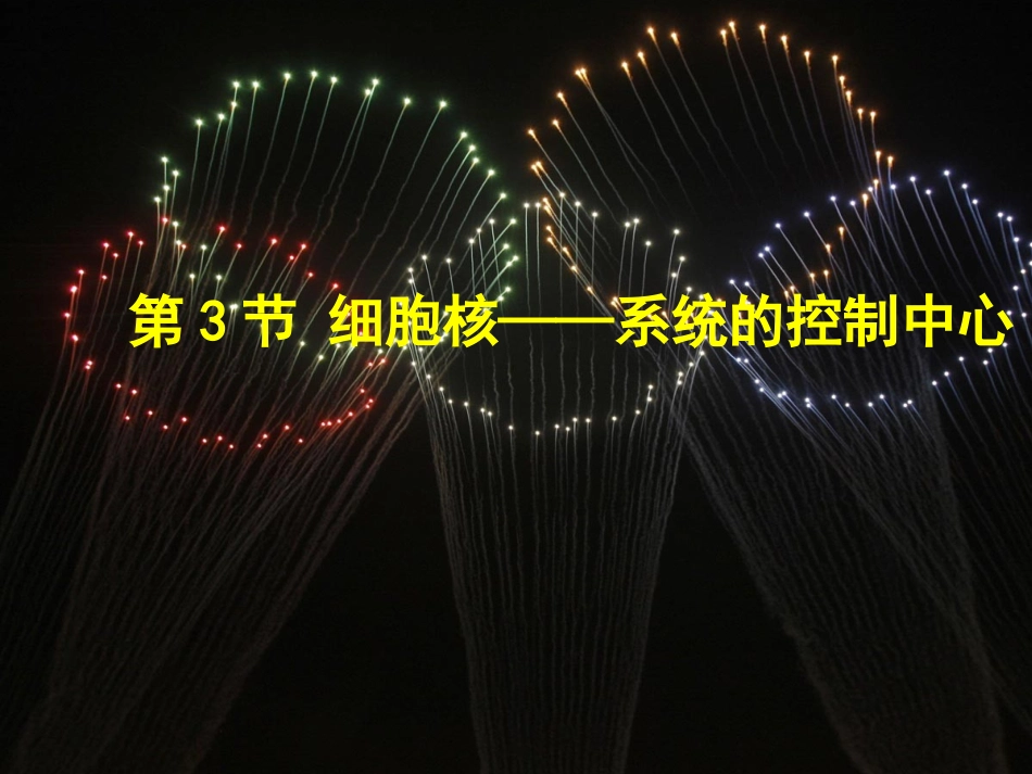 细胞核的结构和功能_第1页