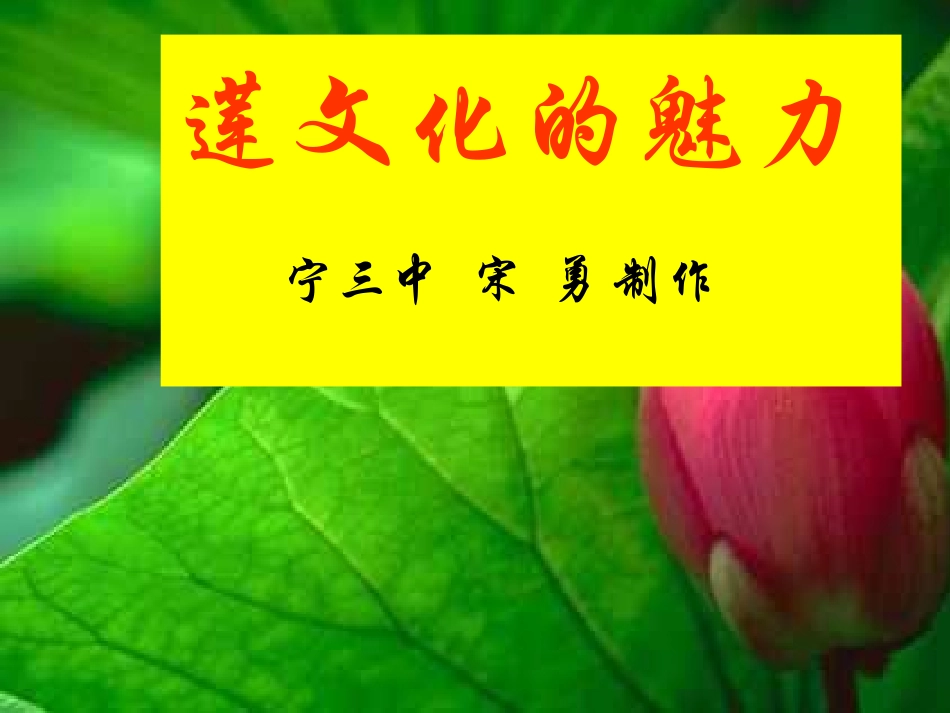 莲文化的魅力综合性实践活动_第2页