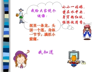 莲文化的魅力综合性实践活动