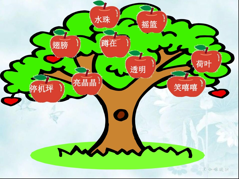 一年级下册荷叶圆圆课件_第3页