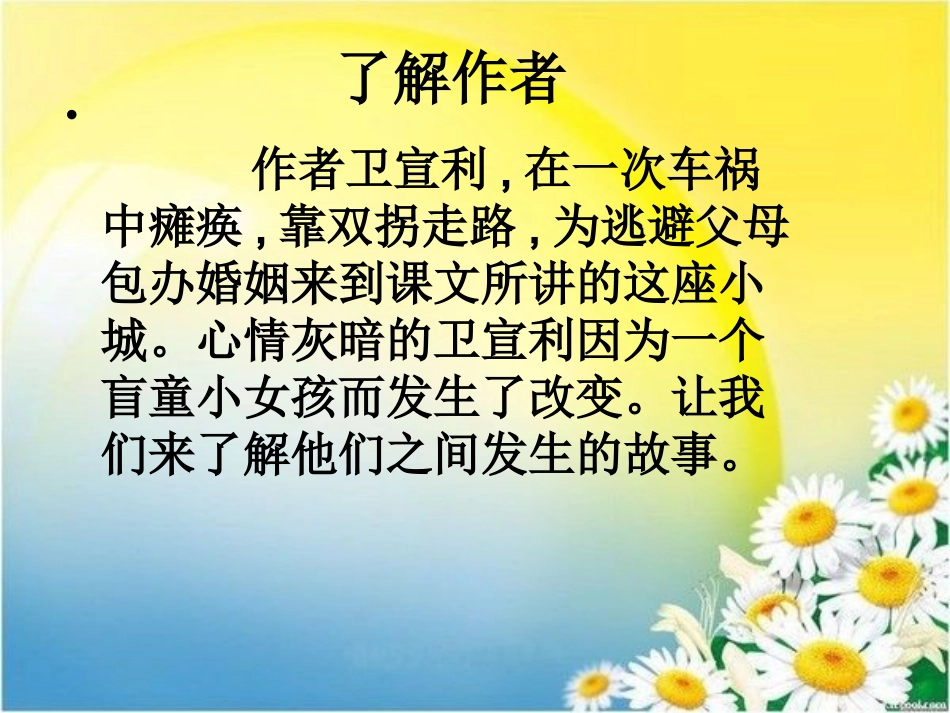 《番茄太阳》_第2页