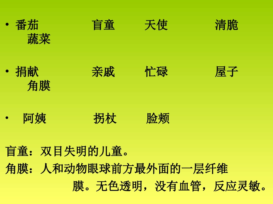 《番茄太阳》_第3页