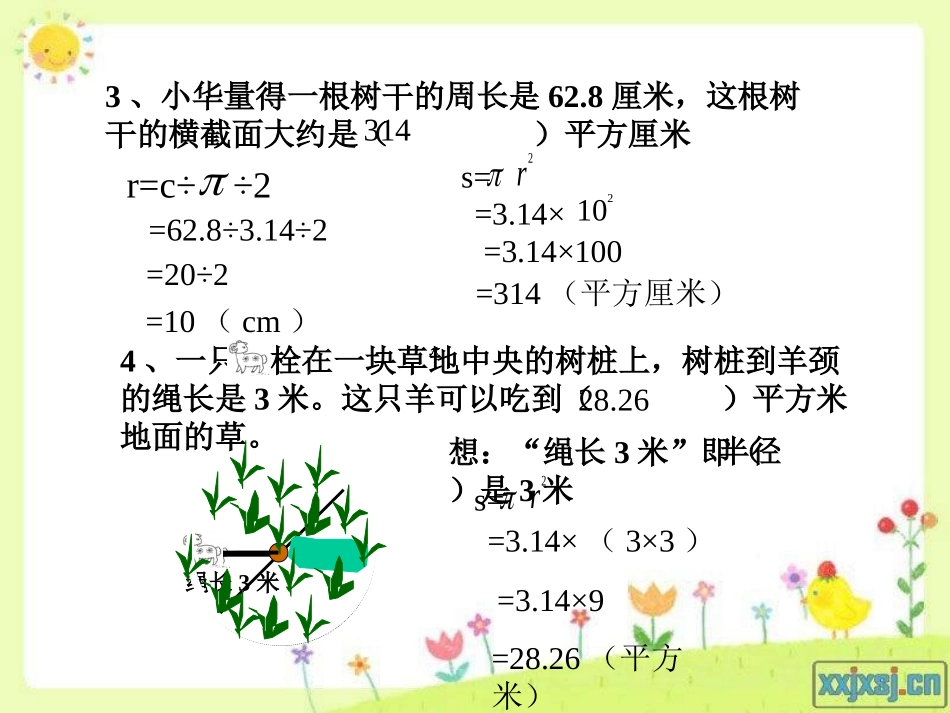 圆的面积练习题(1)_第3页
