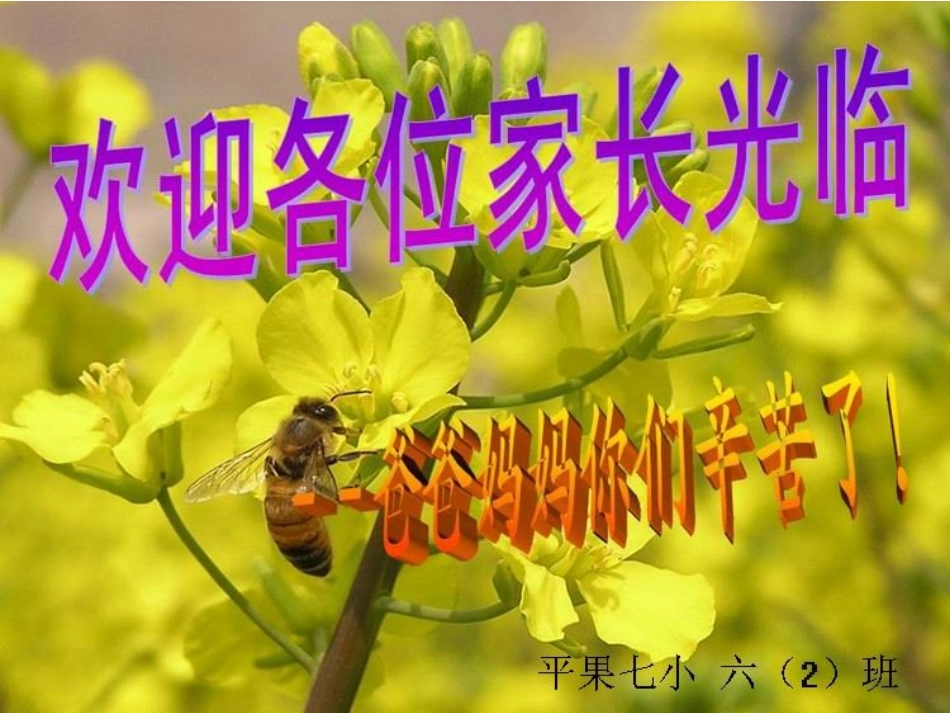 六（2）班家长会_第1页