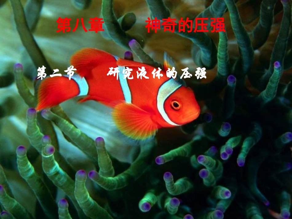 八年级物理研究液体的压强_第1页