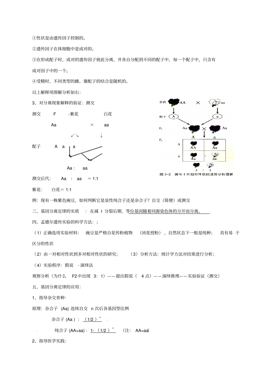 江苏徐州高考生物总复习专题四生物的遗传遗传学两大定律_第2页