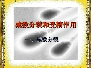 减数分裂和受精作用(高一上课)