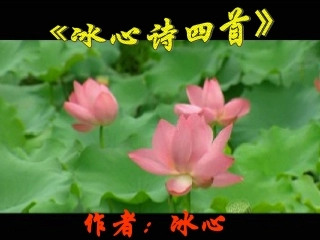 《冰心诗四首》