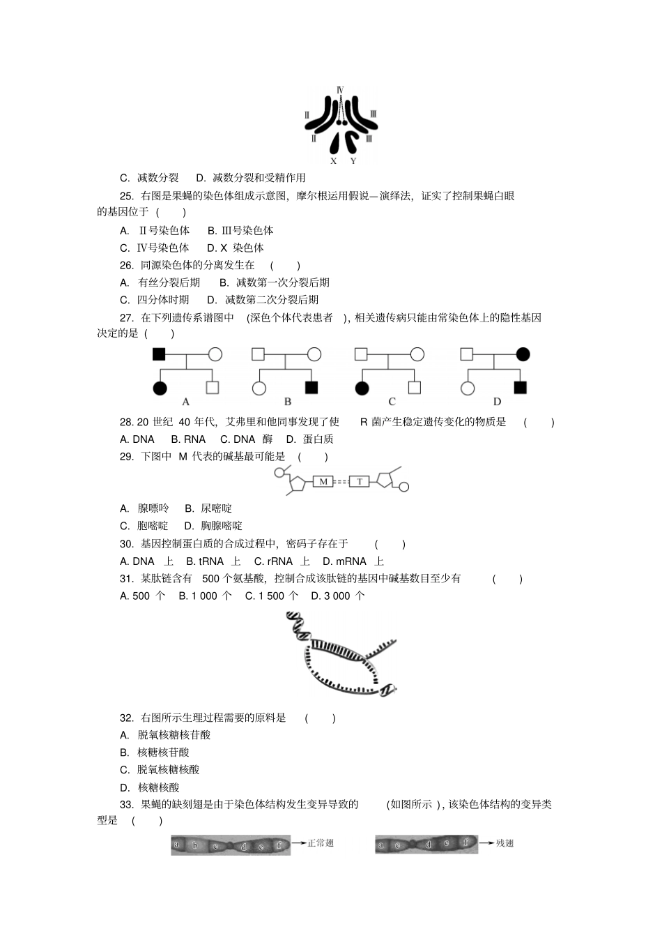 江苏无锡高二学业水平合格性考试模拟试题12月生物版含答案_第3页