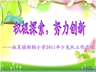 2011年新联小学少先队工作总结