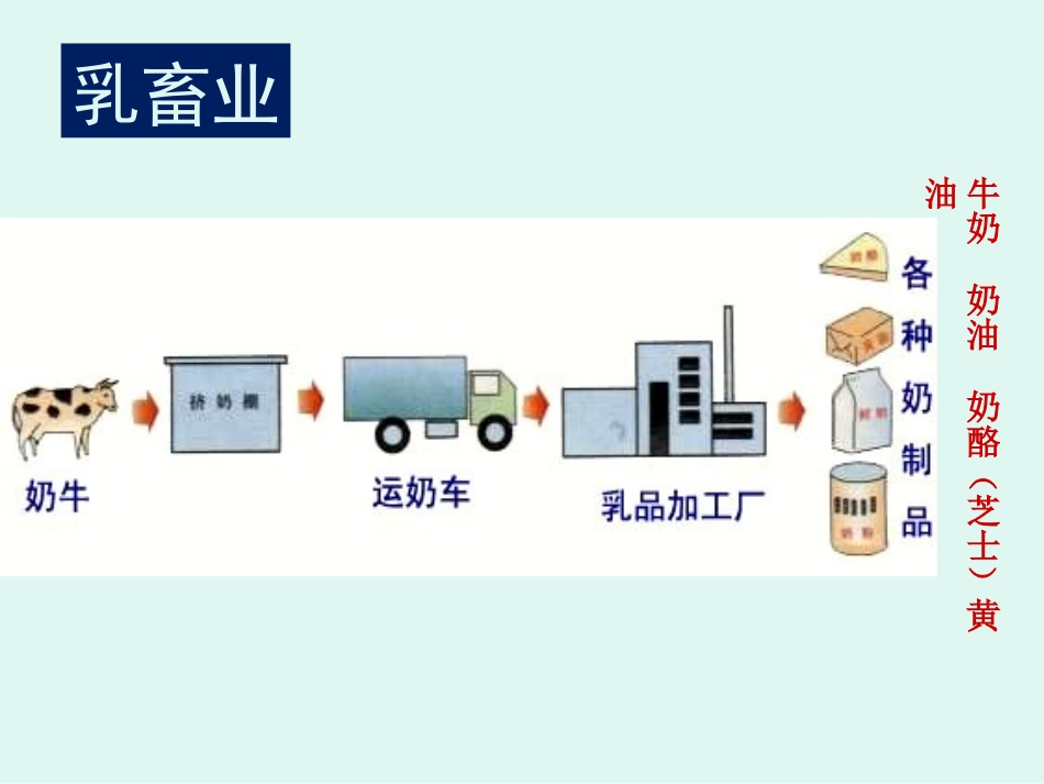 乳畜业练习课件_第3页