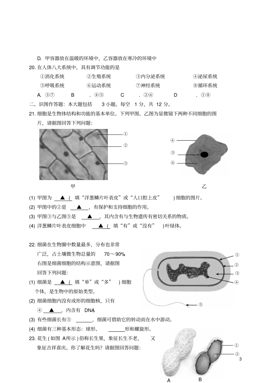 江苏海门七年级生物第二学期期末质量调研试卷苏科版_第3页