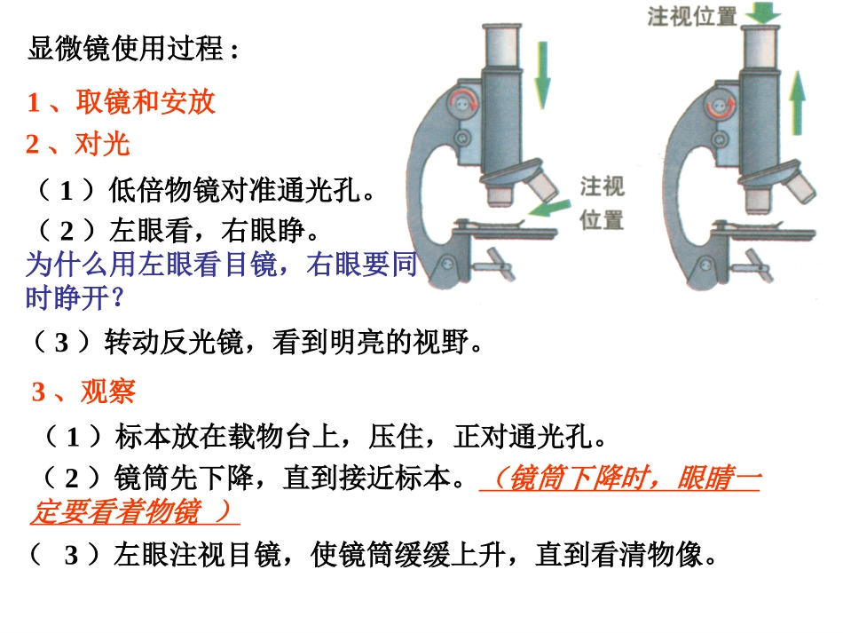 生物：211_练习使用显微镜_课件2(人教版七年级上)_第3页