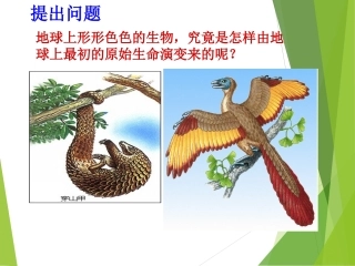 人教新课标版八年级下第七单元第三章第2节_生物进化的历程1