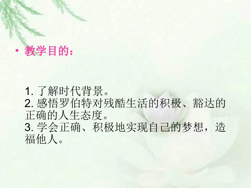 北师大版六年级语文黑孩子罗伯特课件_第2页