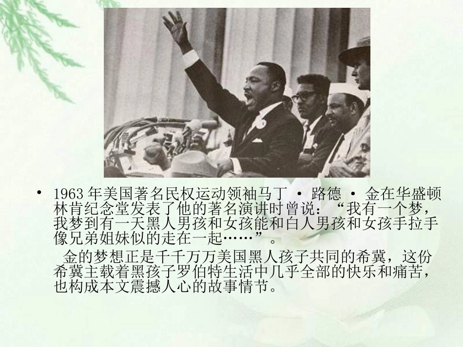 北师大版六年级语文黑孩子罗伯特课件_第3页