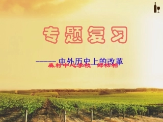 中外史上的改革