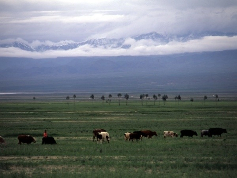 青春舞曲ＰＰＴ_第3页