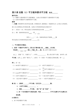 实数1（平方根）