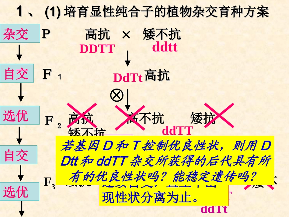 【生物】61__杂交育种与诱变育种_课件2(人教版必修2)_第3页