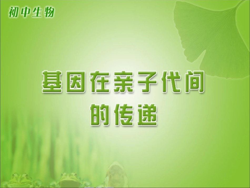 《基因在亲子代间的传递》参考课件_第1页