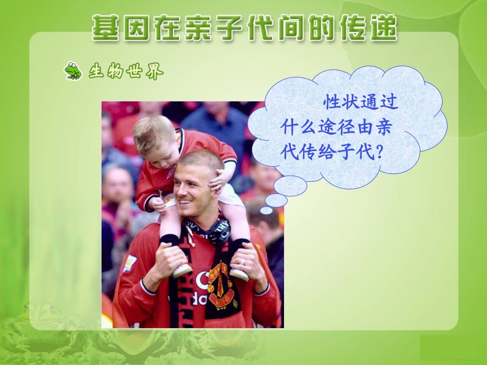 《基因在亲子代间的传递》参考课件_第2页