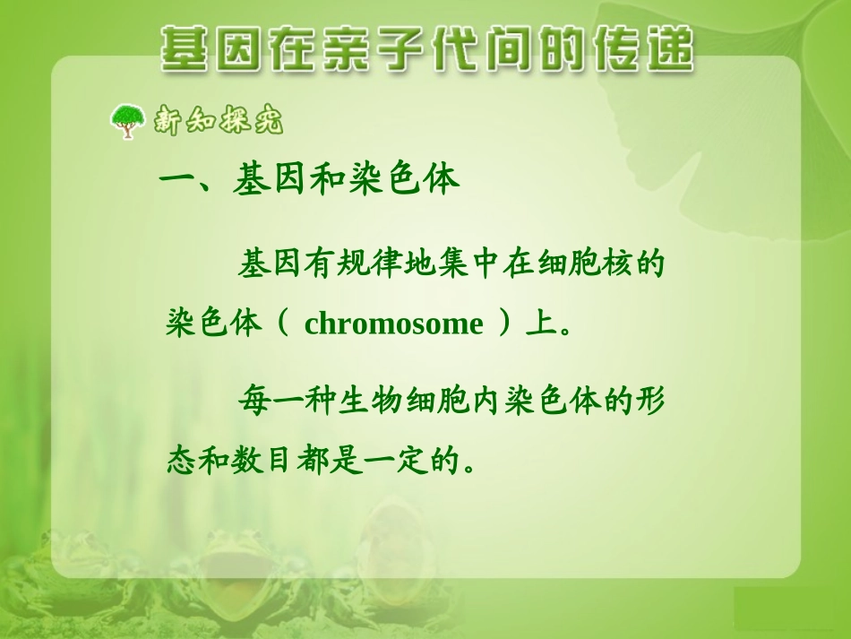 《基因在亲子代间的传递》参考课件_第3页